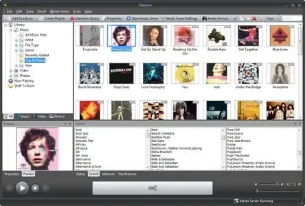 Conceiva Mezzmo 2.6.3.0