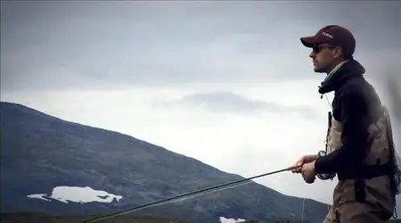 Wide Open - The Fish & The Fly 3 - Terrestrial (2010)