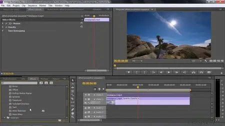 Adobe CC Training Bundle