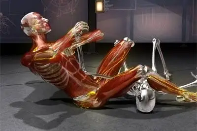 National Geographic Channel - Fight Science