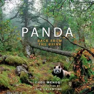 Panda: Back from the Brink
