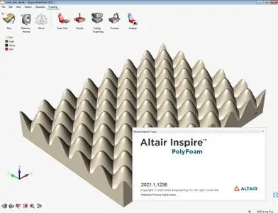 Altair Inspire PolyFoam 2021.1.0 Build 1236