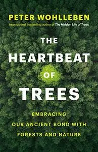 The Heartbeat of Trees: Embracing Our Ancient Bond with Forests and Nature