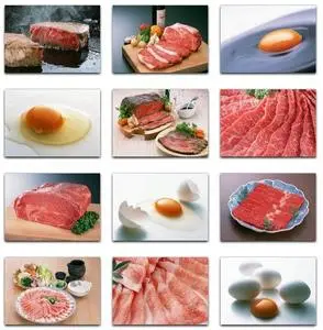 Datacraft Sozaijiten Vol. 130 Fresh food - Meat & Eggs