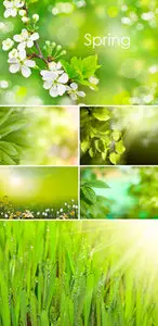 Stock Photo - Spring Green Backgrounds 2