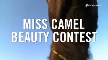 VICE - Miss Camel Beauty Contest (2016)