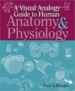 A Visual Analogy Guide to Human Anatomy & Physiology