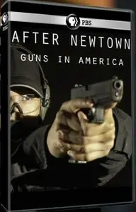 PBS - After Newtown: Guns in America (2013)
