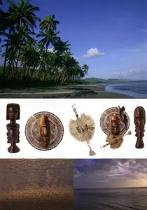 Tropical Paradise