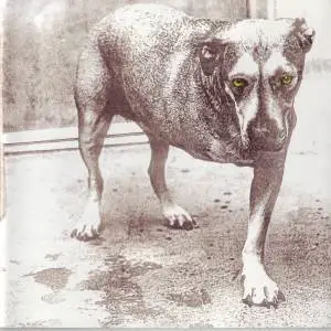 Alice In Chains - Alice In Chains (1995)