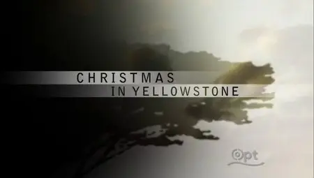 PBS Nature - Christmas in Yellowstone (2006)