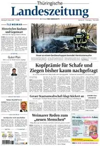 Thüringische Landeszeitung – 19. Februar 2019