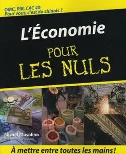 Michel Musolino, "L’économie pour les nuls"