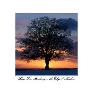 WMRI - Lone Tree Standing on the Edge of Nowhere