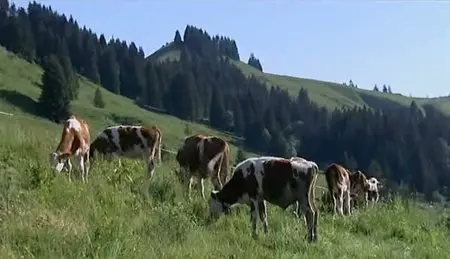 (Fr5) Fourchette et sac à dos : Destination Suisse (2011)