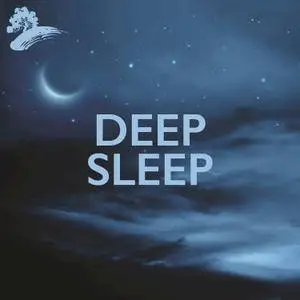 David Arkenstone - Deep Sleep (2017)
