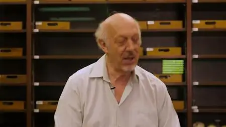 Curiosity TV - Breakthrough: Little Foot Exploring Our Origins (2019)