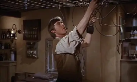 Frankenstein Created Woman (1967)