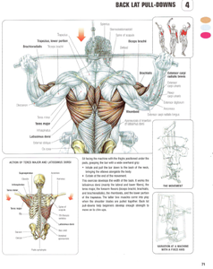 Strength Training Anatomy-2nd Edition