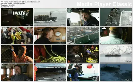 Deadliest Catch S05E08
