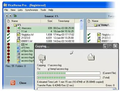ViceVersa Pro 2.5 Build 2512