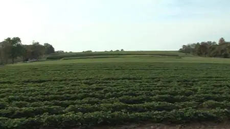 Journey with Dylan Dreyer S02E18