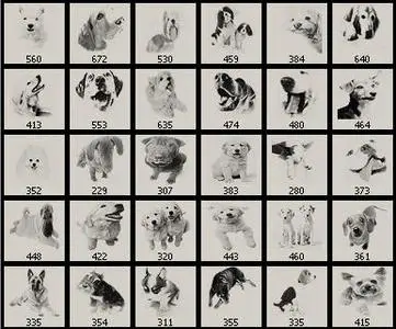 Adobe Photoshop Brushs (Dogs & Cats)