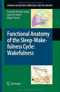 Functional Anatomy of the Sleep-Wakefulness Cycle