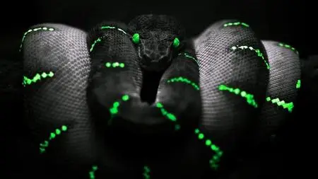 Fastest python 3 course for beginner
