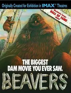 Imax HD: Beavers