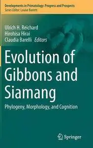 Evolution of Gibbons and Siamang: Phylogeny, Morphology, and Cognition [Repost]