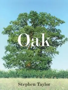 Oak: one tree, three years, fifty paintings