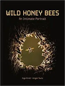 Wild Honey Bees: An Intimate Portrait