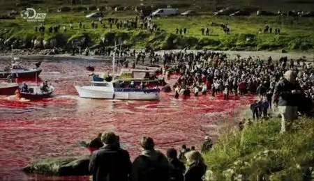 Discovery Channel - Whale Wars: Viking Shores (2012)