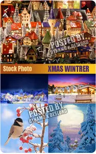 Xmas Wintrer - UHQ Stock Photo