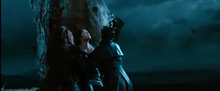 Hansel and Gretel: Witch Hunters (2013)