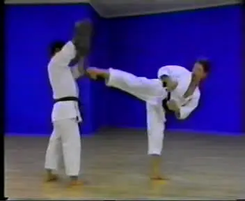 Higaonna - Mastering Traditional Okinawan Goju-Ryu Karate Series