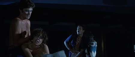 The Last House on the Beach (1978) [reup]