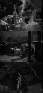 Ugetsu (1953) [The Criterion Collection]