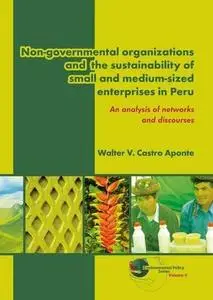 Non-governmental Organizations and the Sustainability of Small and Medium-sized Enterprises in Peru: An Analysis of Networks an