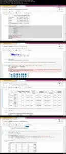 Static and Interactive Data Visualizations in Python