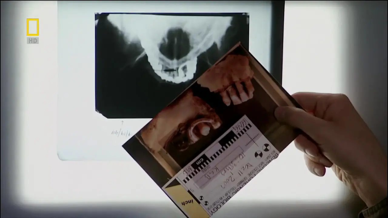 National Geografic "Undercover History" The Hunt for Hitler (2007)