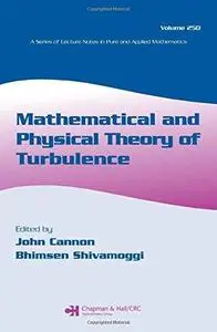 Mathematical and Physical Theory of Turbulence