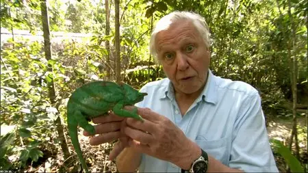 BBC - Attenborough and the Giant Egg (2011) (Repost)