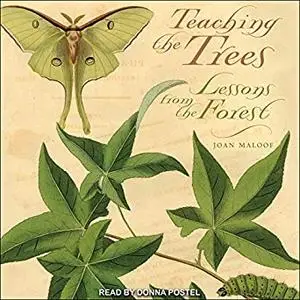 Teaching the Trees: Lessons from the Forest [Audiobook]