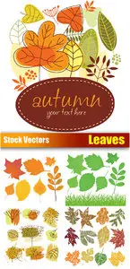 Stock Vectors - Leaves