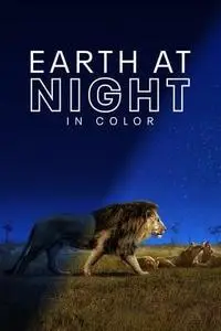 Earth at Night in Color S01E05