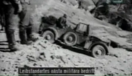 Weapons of War. Leibstandarte