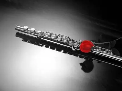 Red Point In A Grey Life