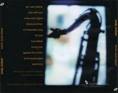 Andy Snitzer - Some Quiet Place (1999)